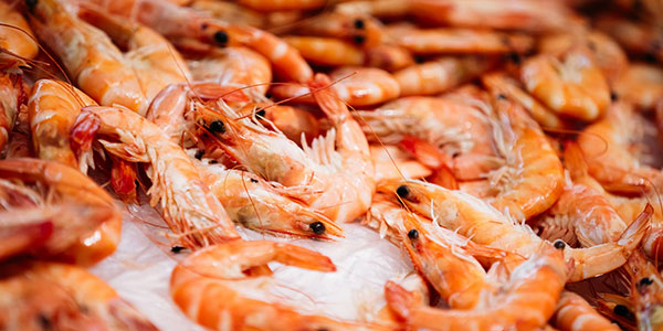 Valle Roberto : frutti di mare